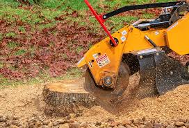 Best Fruit Tree Pruning  in Oroville East, CA